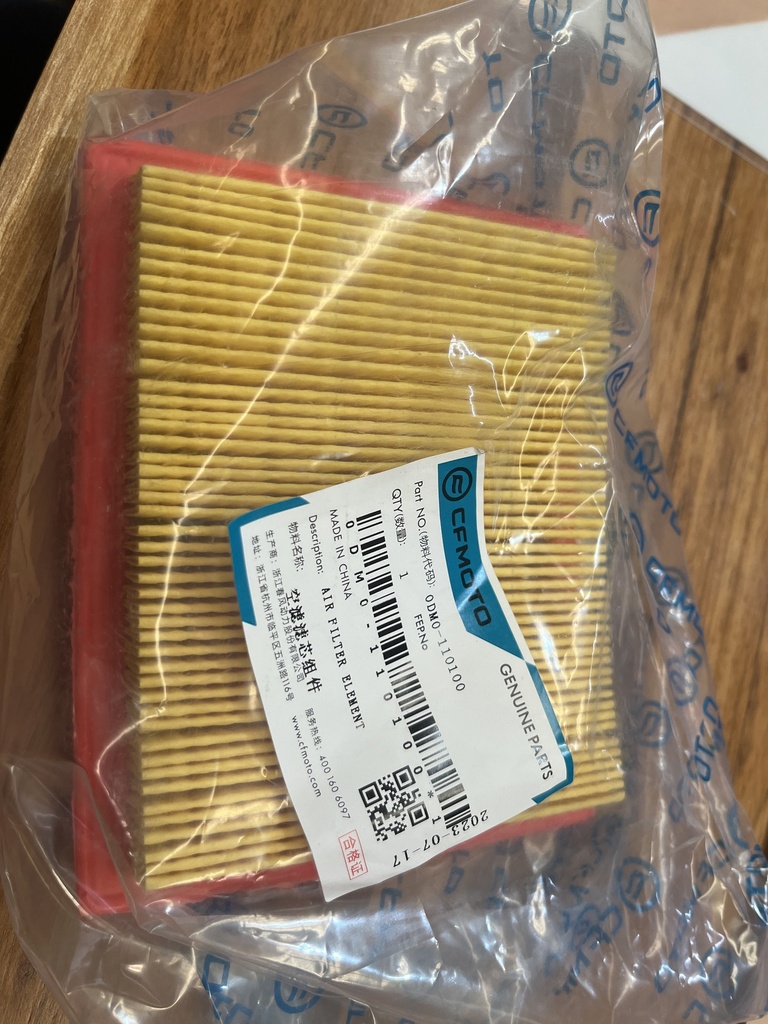 FILTRO DE AIRE 0DM0-110100