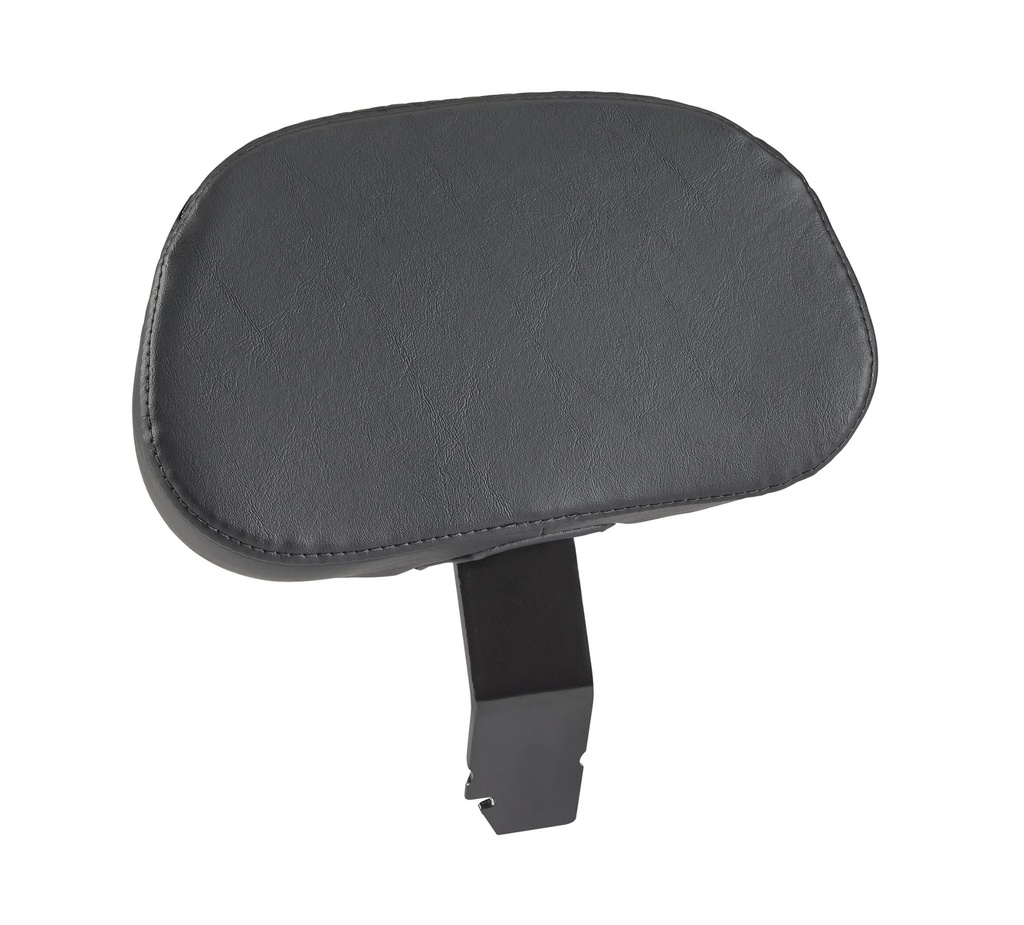 ADJ RIDER BACKREST,FLHRC