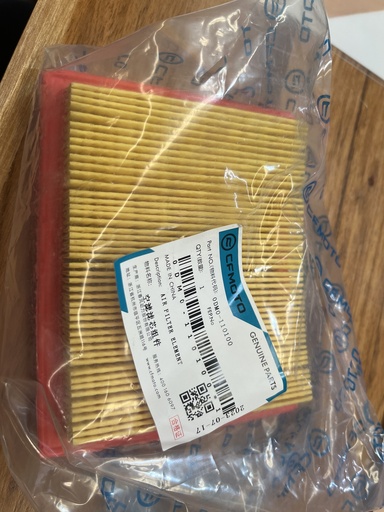 [0DM0-110100] FILTRO DE AIRE 0DM0-110100